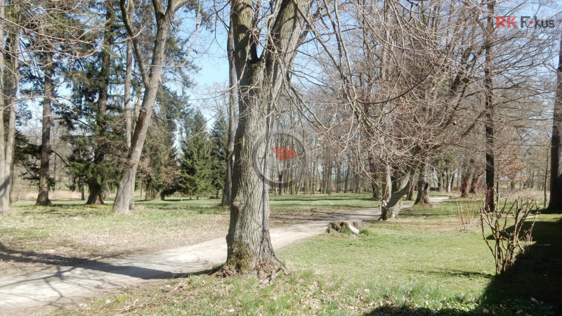 Prodej RD 5+kk Polická Jemnice
